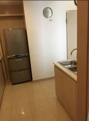 The Lakeshore (D22), Condominium #375839981